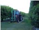 Mareeba QLD 4880