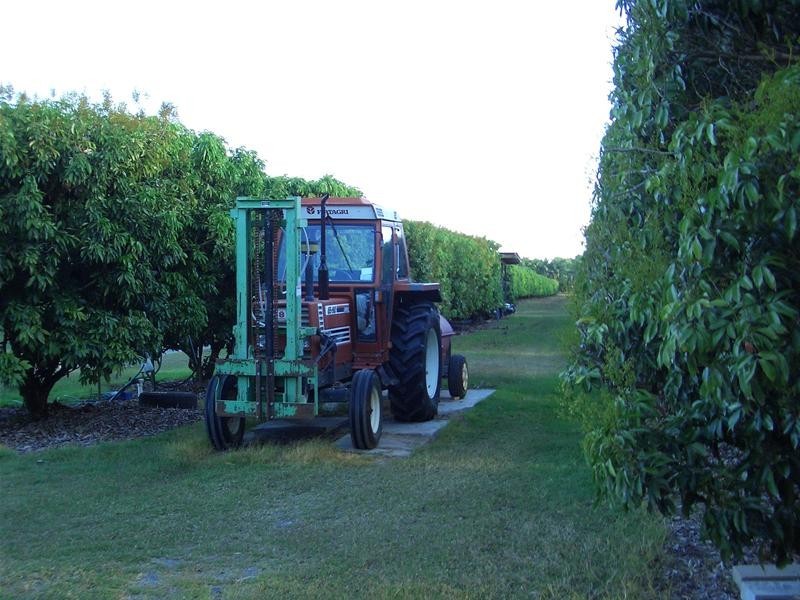 Mareeba QLD 4880