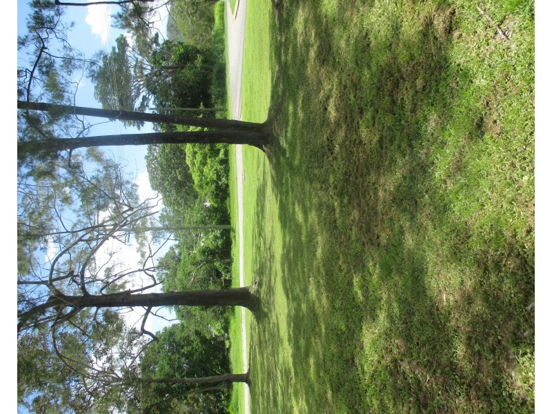 Mount Molloy QLD 4871