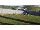 Mareeba QLD 4880