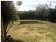 Mareeba QLD 4880