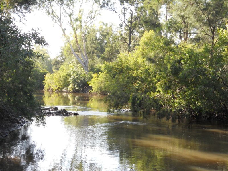 Mutchilba QLD 4872