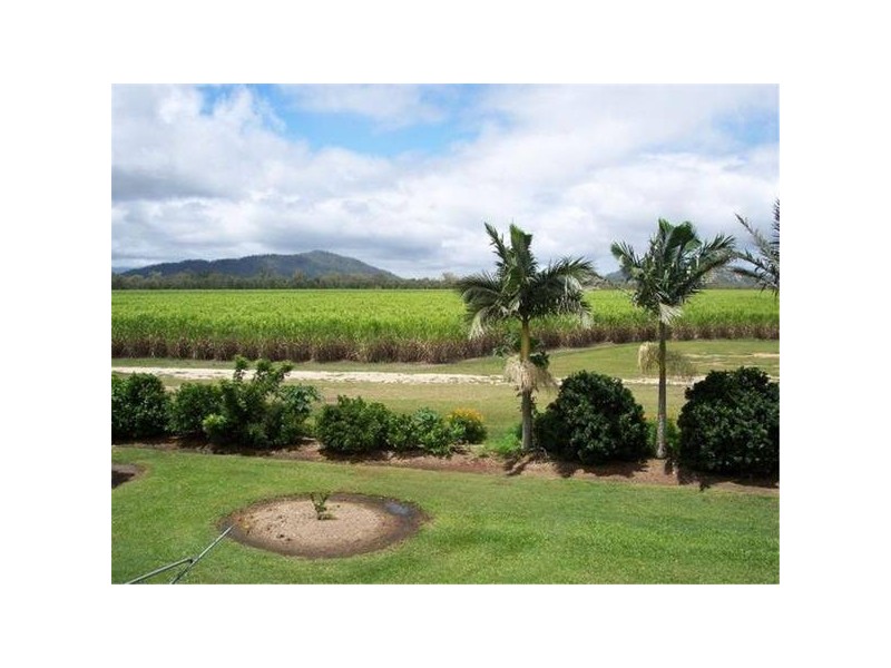 229 Chettle Road, Mareeba QLD 4880