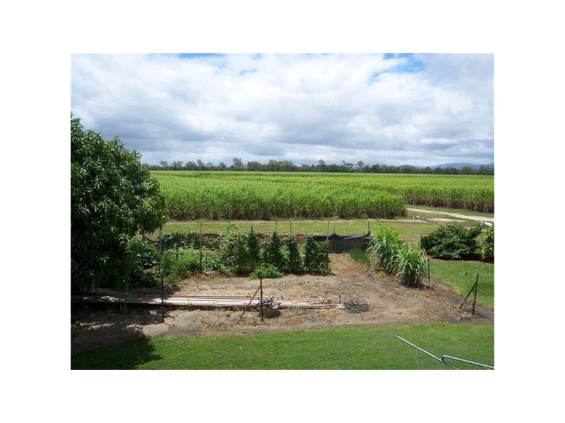 229 Chettle Road, Mareeba QLD 4880