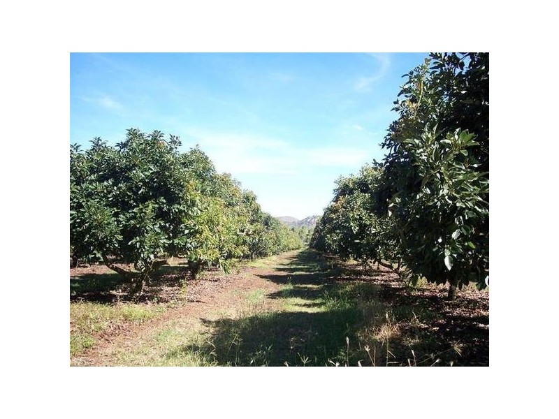 137 Veness Road, Dimbulah QLD 4872