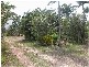 1192 Peninsula Development Road, Mareeba QLD 4880