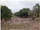 1192 Peninsula Development Road, Mareeba QLD 4880