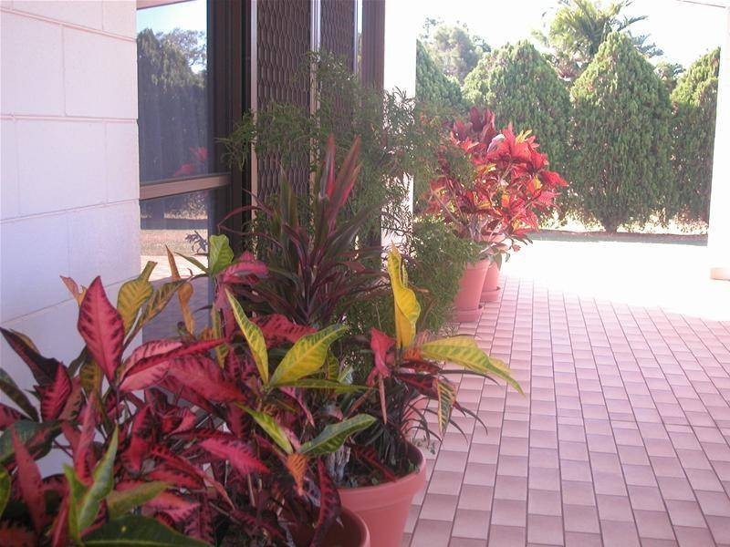 23 Owens Street, Mareeba QLD 4880