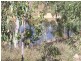 592 Bilwon Road, Mareeba QLD 4880