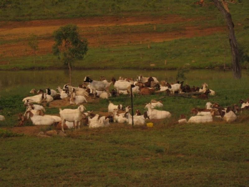 679 Mt Mulligan Road, Dimbulah QLD 4872