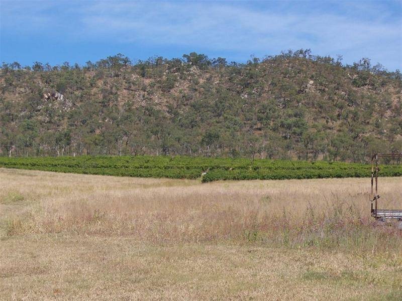 137 Leafgold Weir Road, Dimbulah QLD 4872