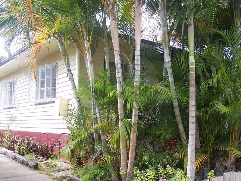 10 Casey Street, Mareeba QLD 4880