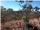 Lemonside, Mutchilba QLD 4872