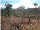 Lemonside, Mutchilba QLD 4872