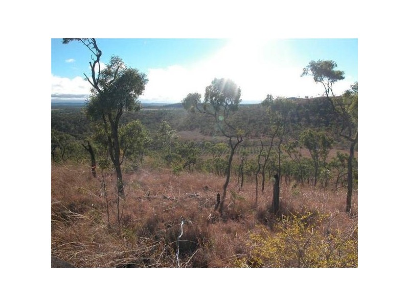 Lemonside, Mutchilba QLD 4872