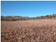 Lemonside, Mutchilba QLD 4872
