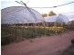 134 Bilwon Road, Biboohra QLD 4880