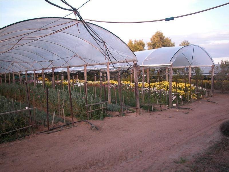 134 Bilwon Road, Biboohra QLD 4880