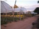 134 Bilwon Road, Biboohra QLD 4880
