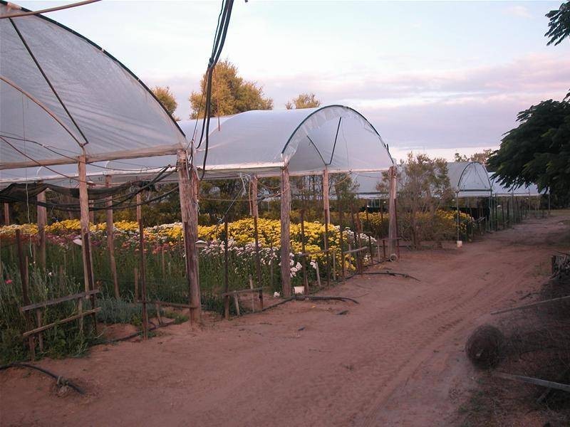 134 Bilwon Road, Biboohra QLD 4880