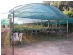 134 Bilwon Road, Biboohra QLD 4880