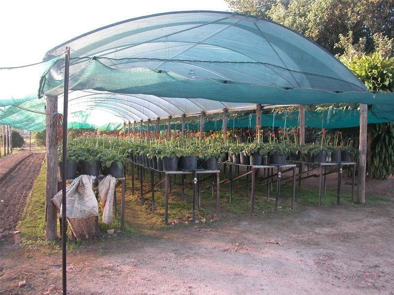 134 Bilwon Road, Biboohra QLD 4880