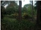 134 Bilwon Road, Biboohra QLD 4880