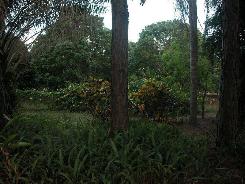 134 Bilwon Road, Biboohra QLD 4880