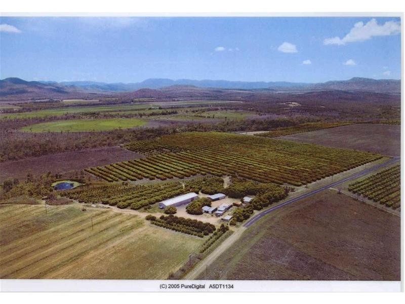 189 Mutchilba Road, Mutchilba QLD 4872