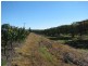 189 Mutchilba Road, Mutchilba QLD 4872