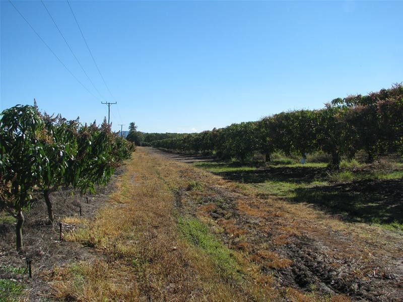 189 Mutchilba Road, Mutchilba QLD 4872