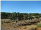189 Mutchilba Road, Mutchilba QLD 4872