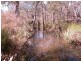 Lot 68, 68 Rozel Close, Mareeba QLD 4880
