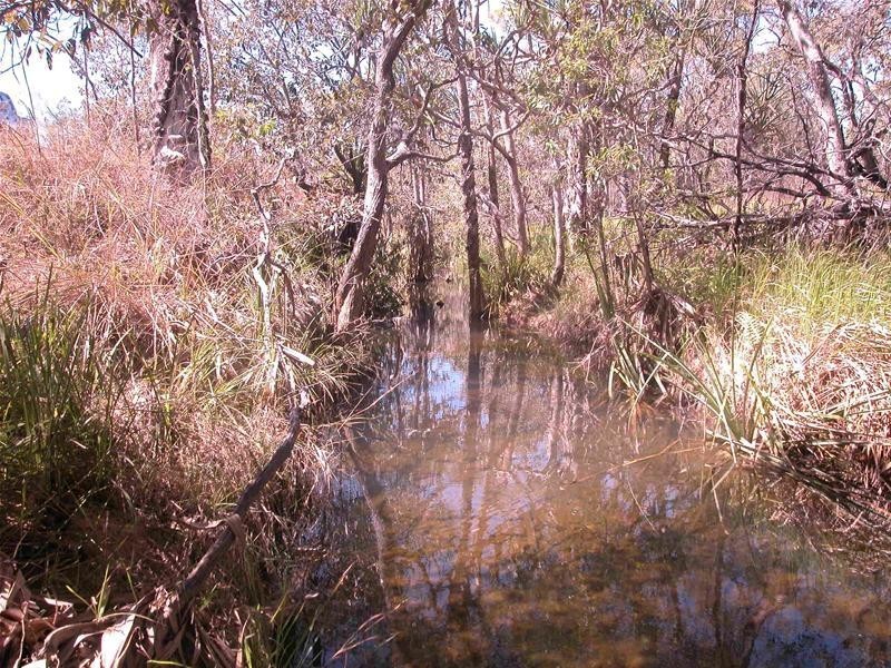 Lot 68, 68 Rozel Close, Mareeba QLD 4880