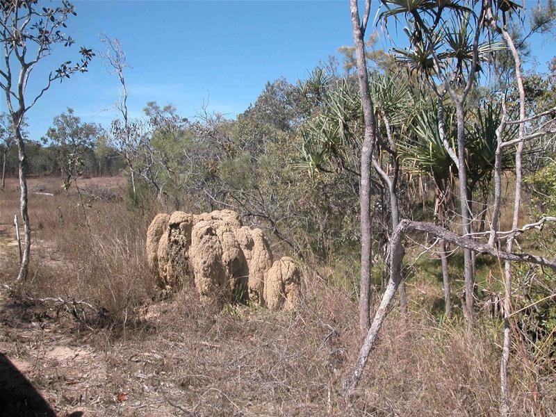 Lot 68, 68 Rozel Close, Mareeba QLD 4880