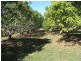 1349 Lemonside Road, Mareeba QLD 4880