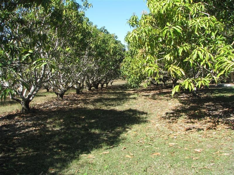 1349 Lemonside Road, Mareeba QLD 4880