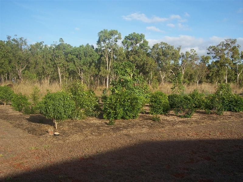 13 Dean Circuit, Mareeba QLD 4880