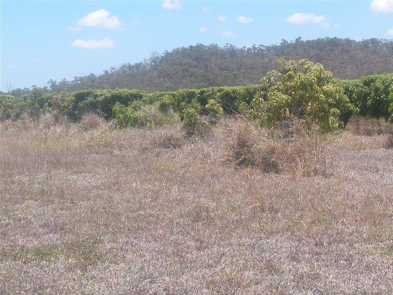 371 Malone Road, Mareeba QLD 4880