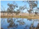 347 Coleyville, Mutdapilly QLD 4307