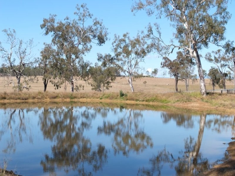 347 Coleyville, Mutdapilly QLD 4307