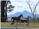 347 Coleyville, Mutdapilly QLD 4307