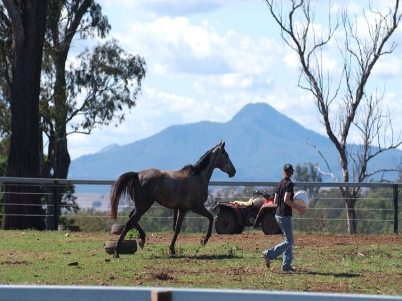 347 Coleyville, Mutdapilly QLD 4307