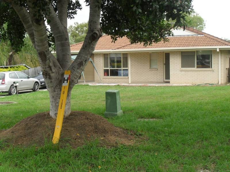 19 Henry Samual Drive, Redbank Plains QLD 4301