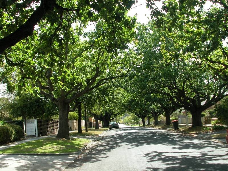 3/5 Grey Street, Balwyn VIC 3103