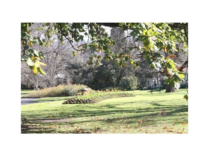 1/11 Beatrice Avenue, Surrey Hills VIC 3127