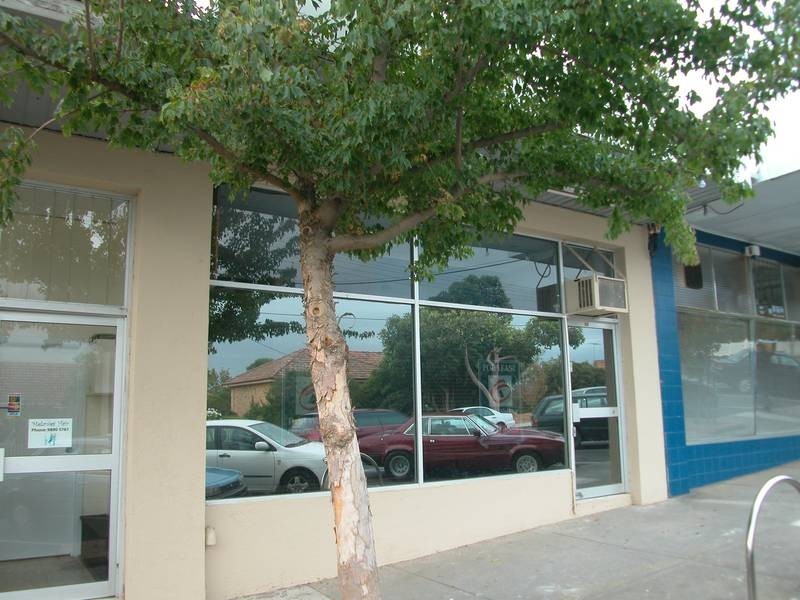 17 Trawool Street, Box Hill North VIC 3129