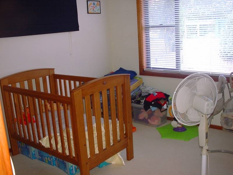 3 Alpine Close, Tenambit NSW 2323