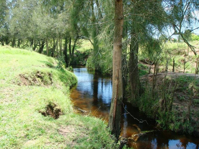 Bishops Bridge NSW 2326