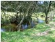 Bishops Bridge NSW 2326